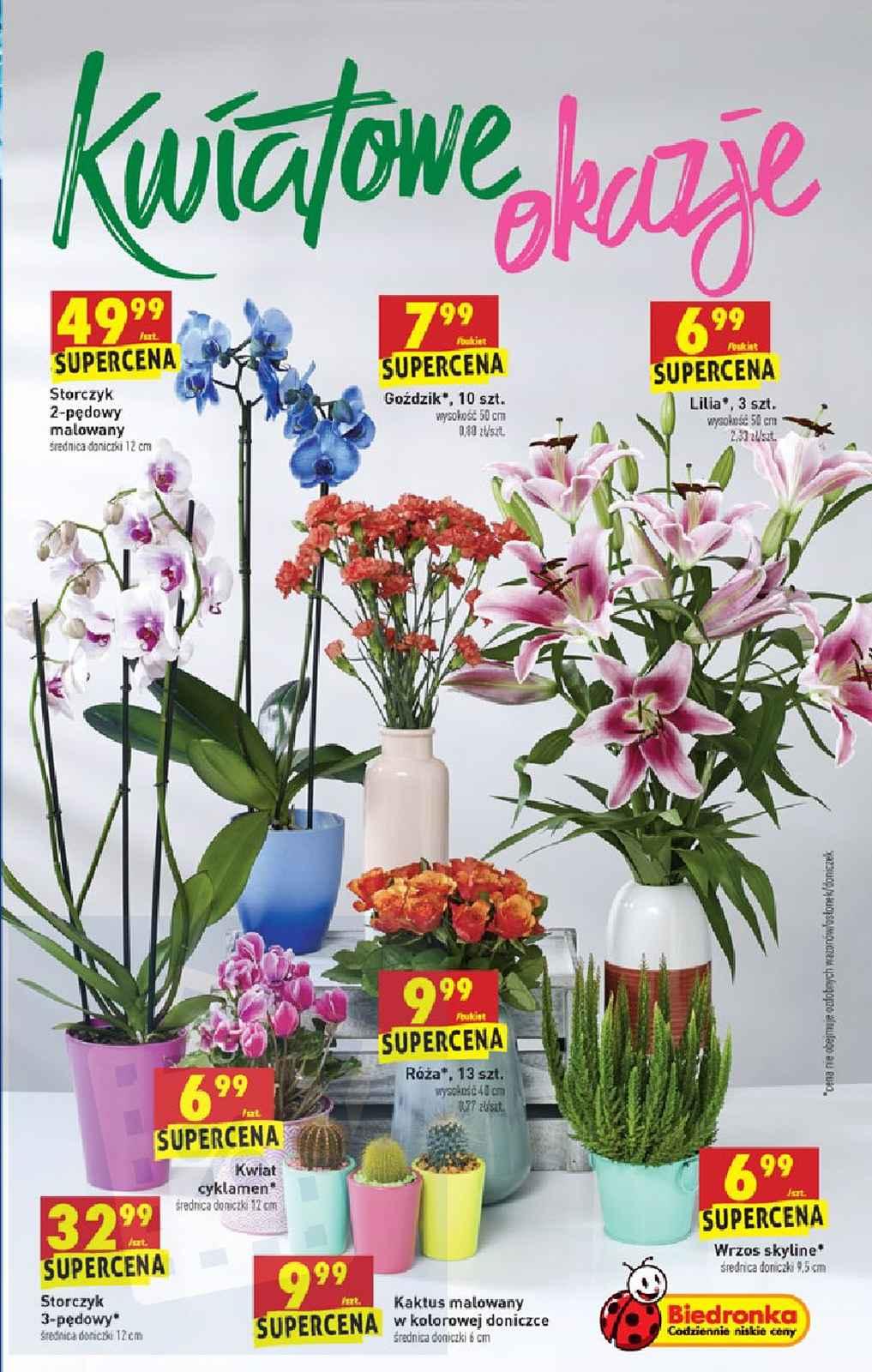 Gazetka promocyjna Biedronka str. 67