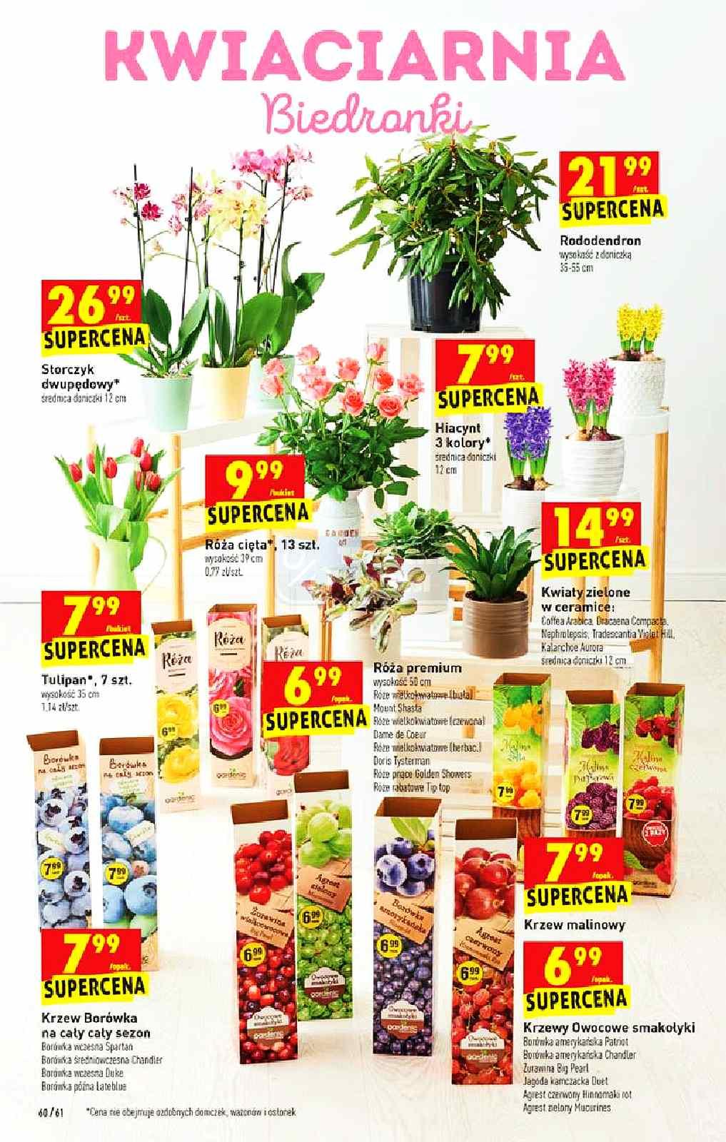 Gazetka promocyjna Biedronka str. 60