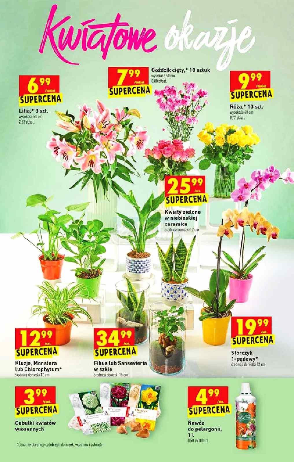 Gazetka promocyjna Biedronka str. 48