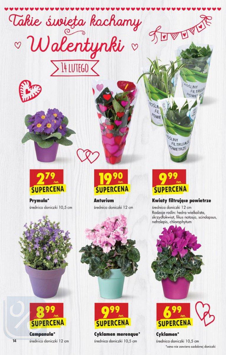 Gazetka promocyjna Biedronka str. 14