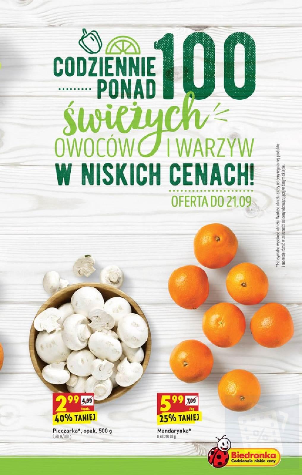 Gazetka promocyjna Biedronka str. 13