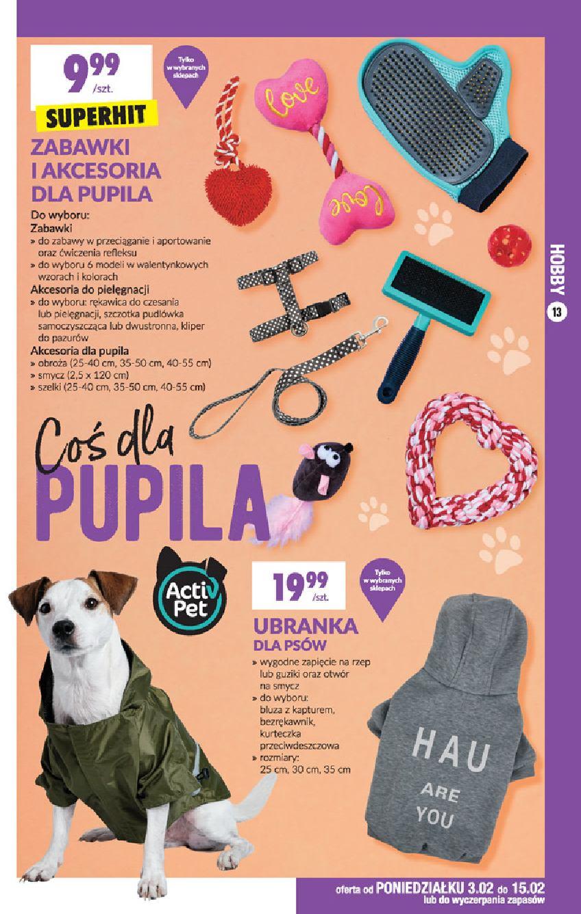 Gazetka promocyjna Biedronka str. 13