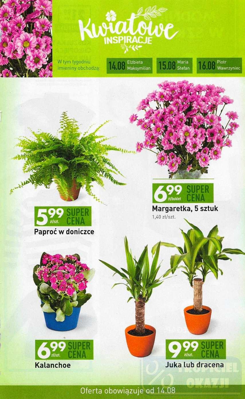 Gazetka promocyjna Biedronka str. 25