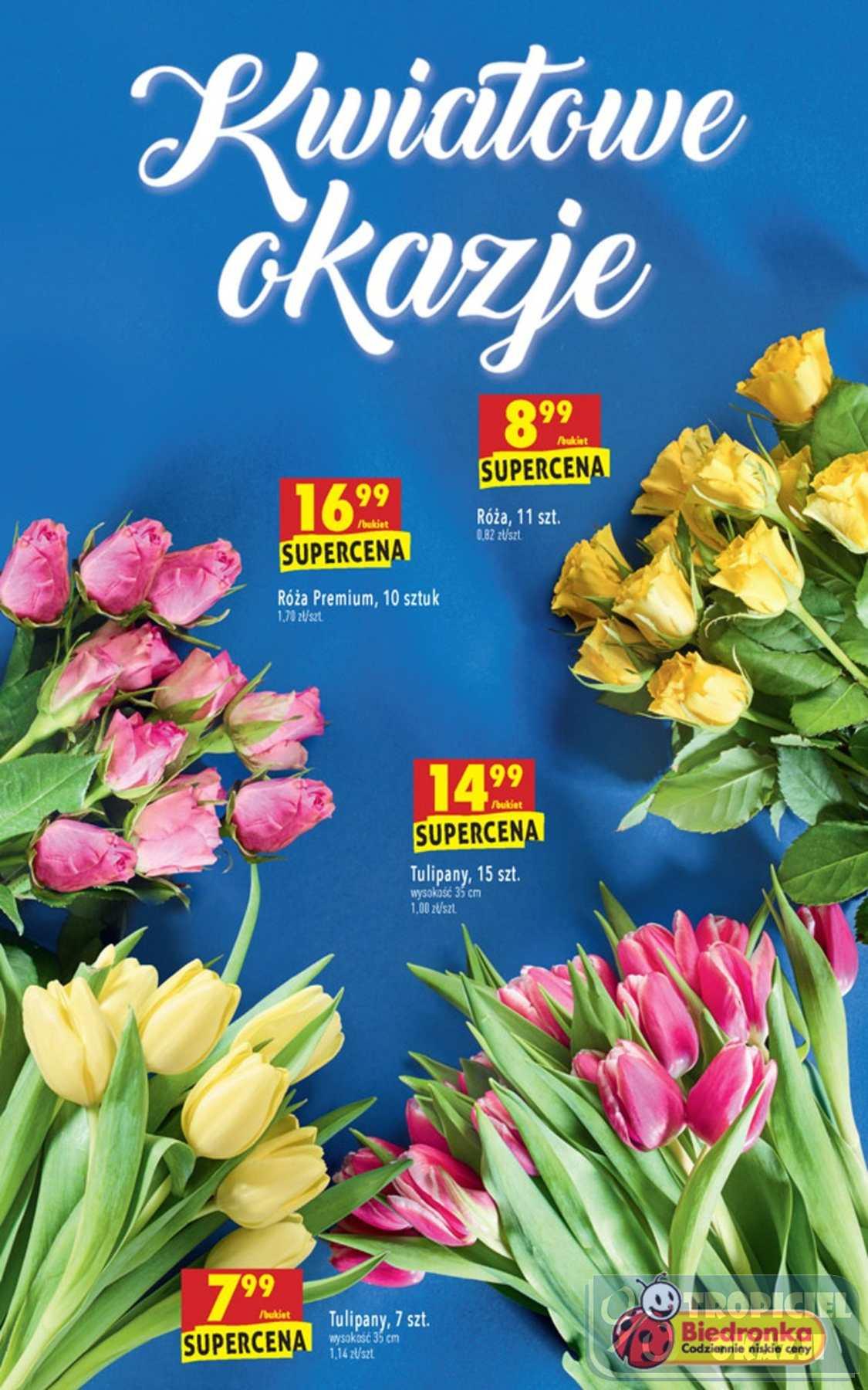 Gazetka promocyjna Biedronka str. 51