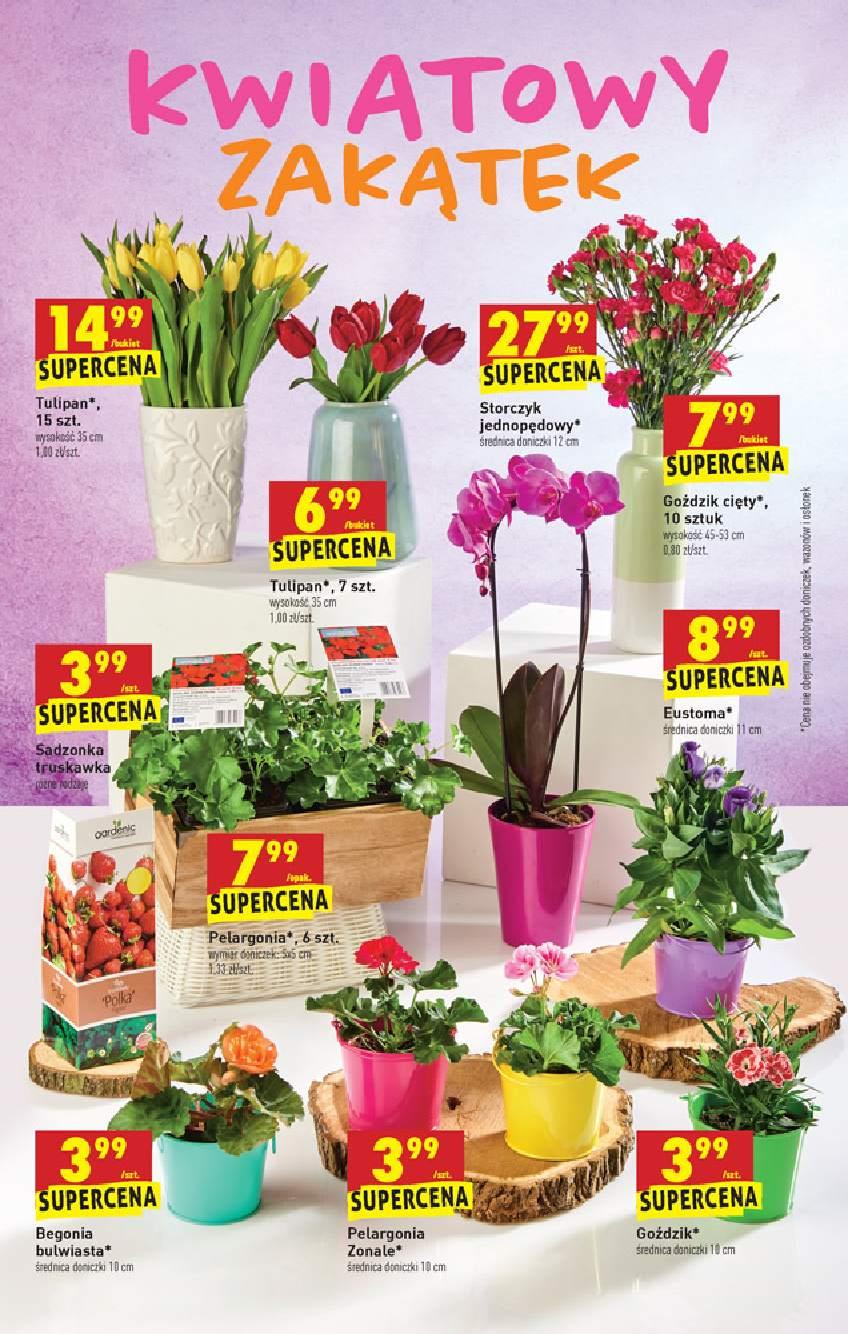 Gazetka promocyjna Biedronka str. 36