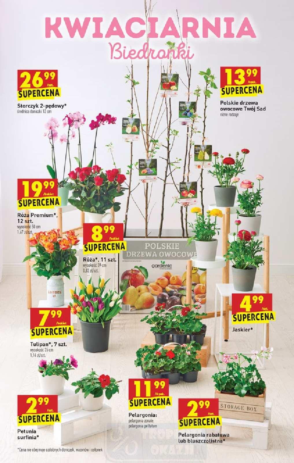 Gazetka promocyjna Biedronka str. 53