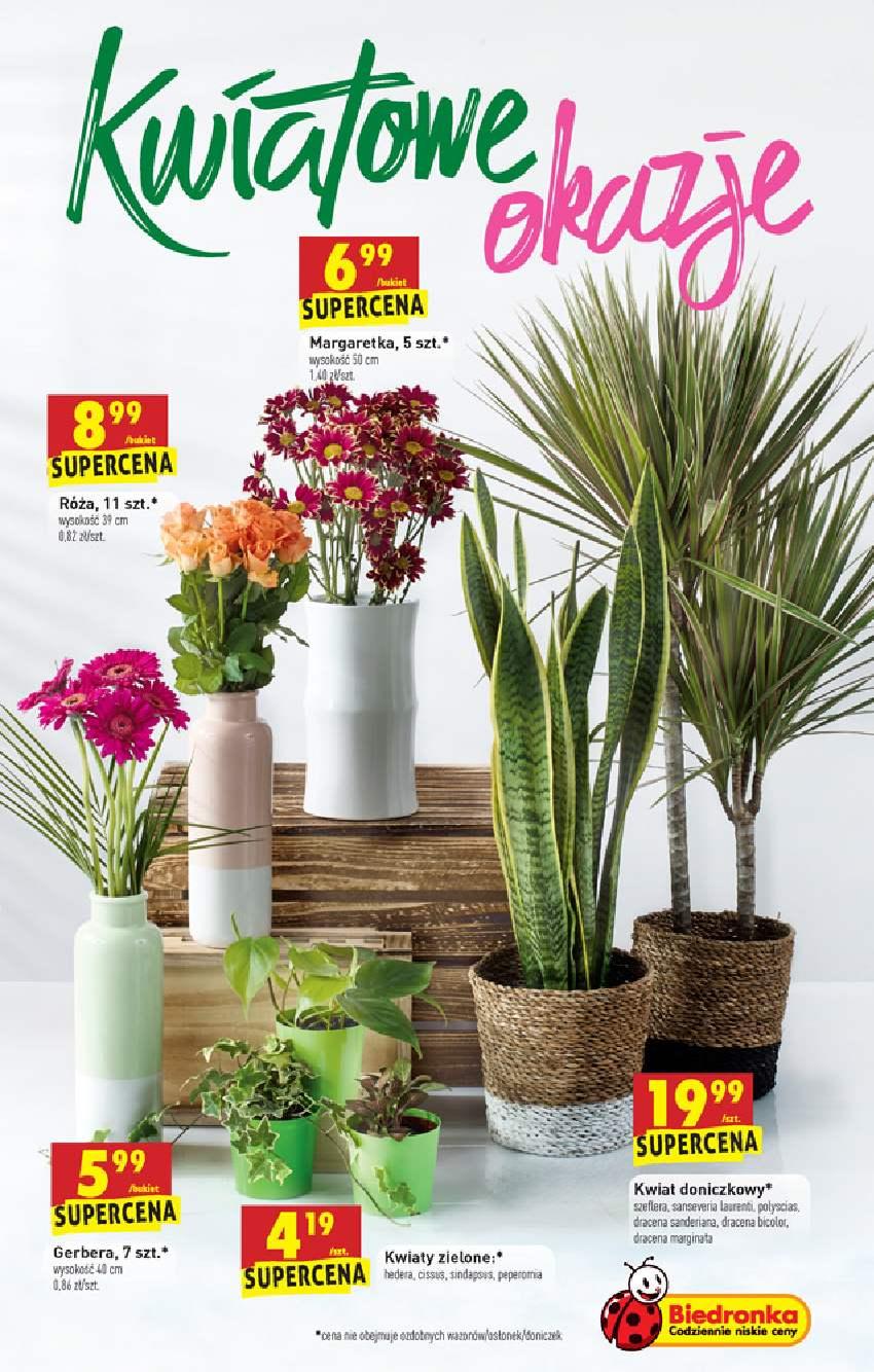 Gazetka promocyjna Biedronka str. 61