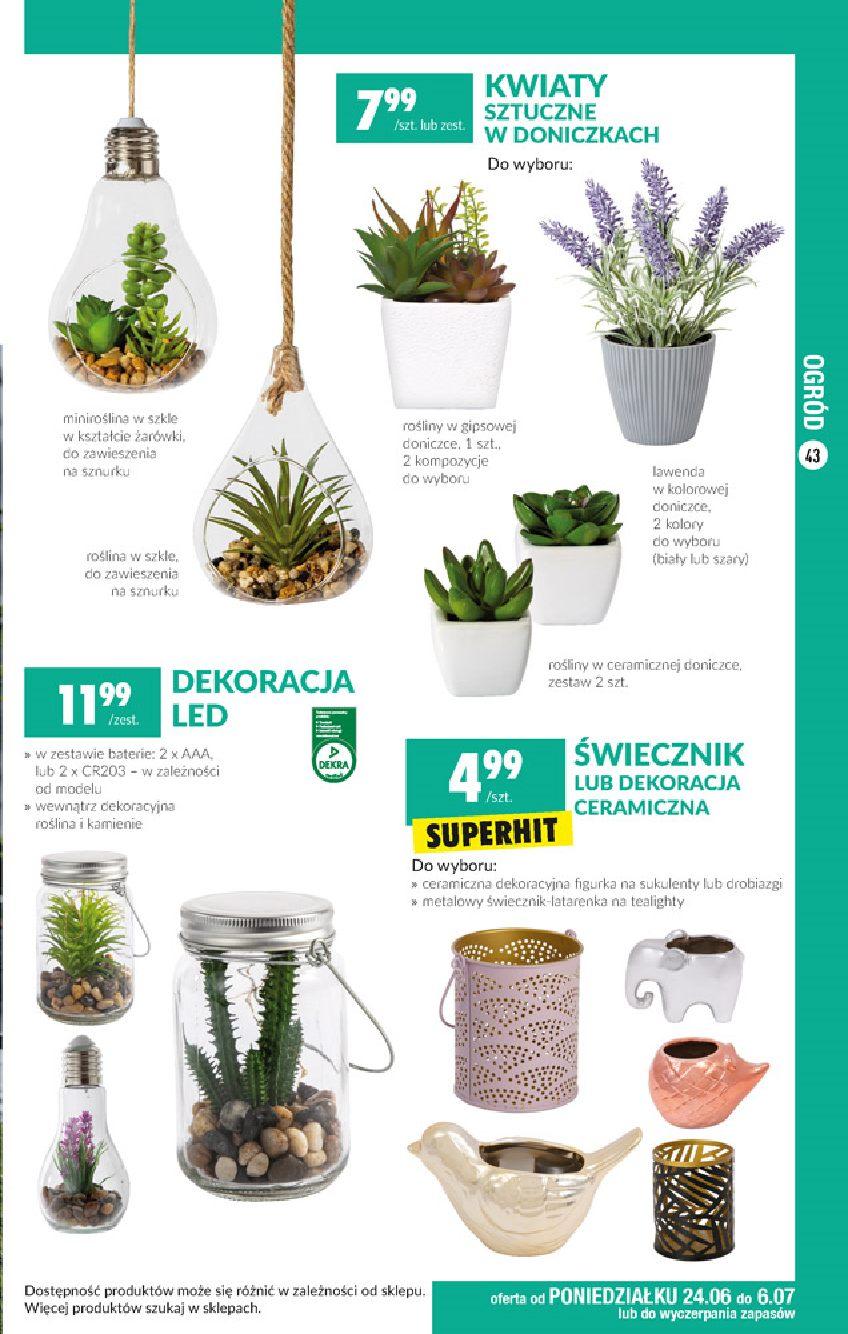 Gazetka promocyjna Biedronka str. 43