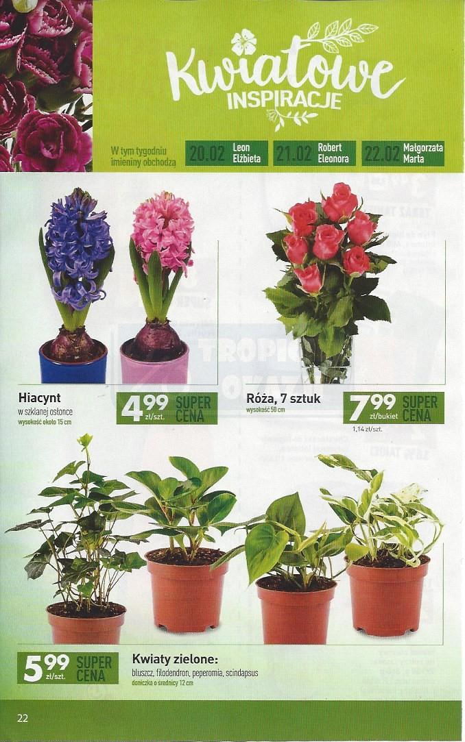 Gazetka promocyjna Biedronka str. 22