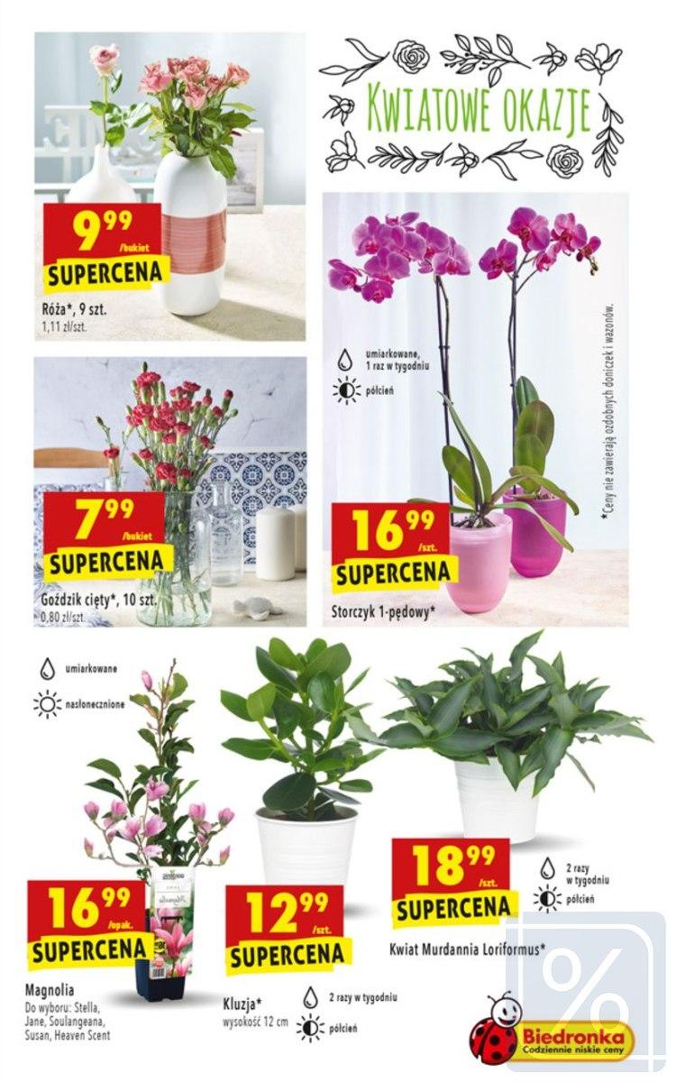 Gazetka promocyjna Biedronka str. 43