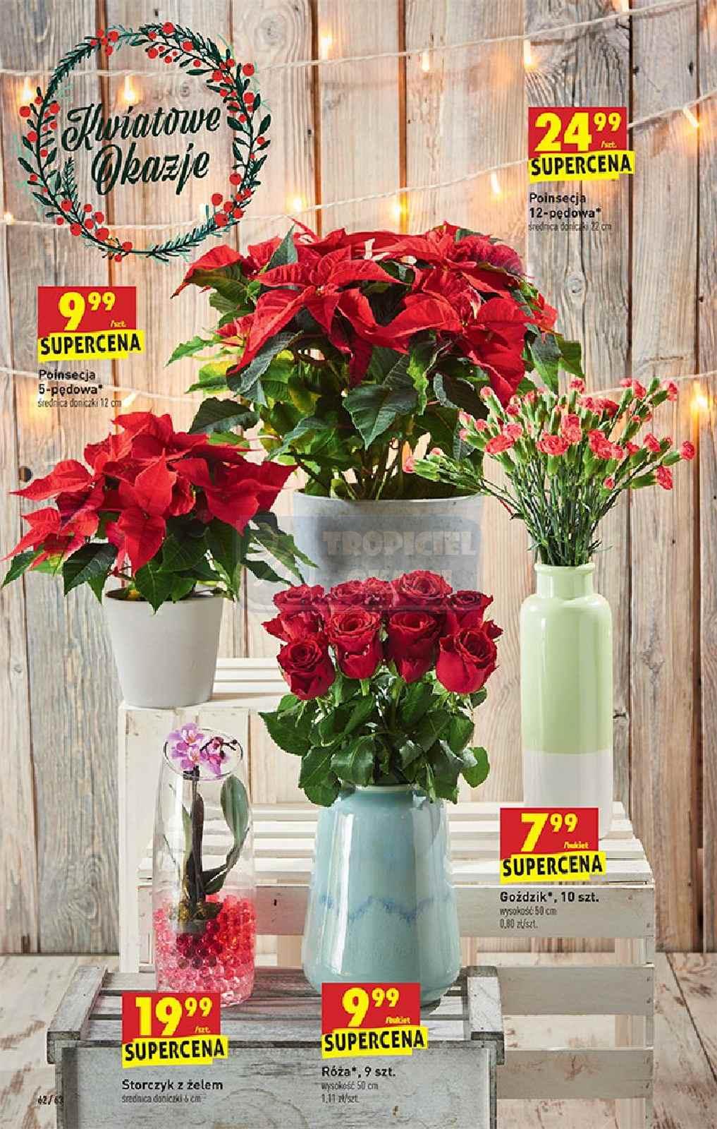 Gazetka promocyjna Biedronka str. 62