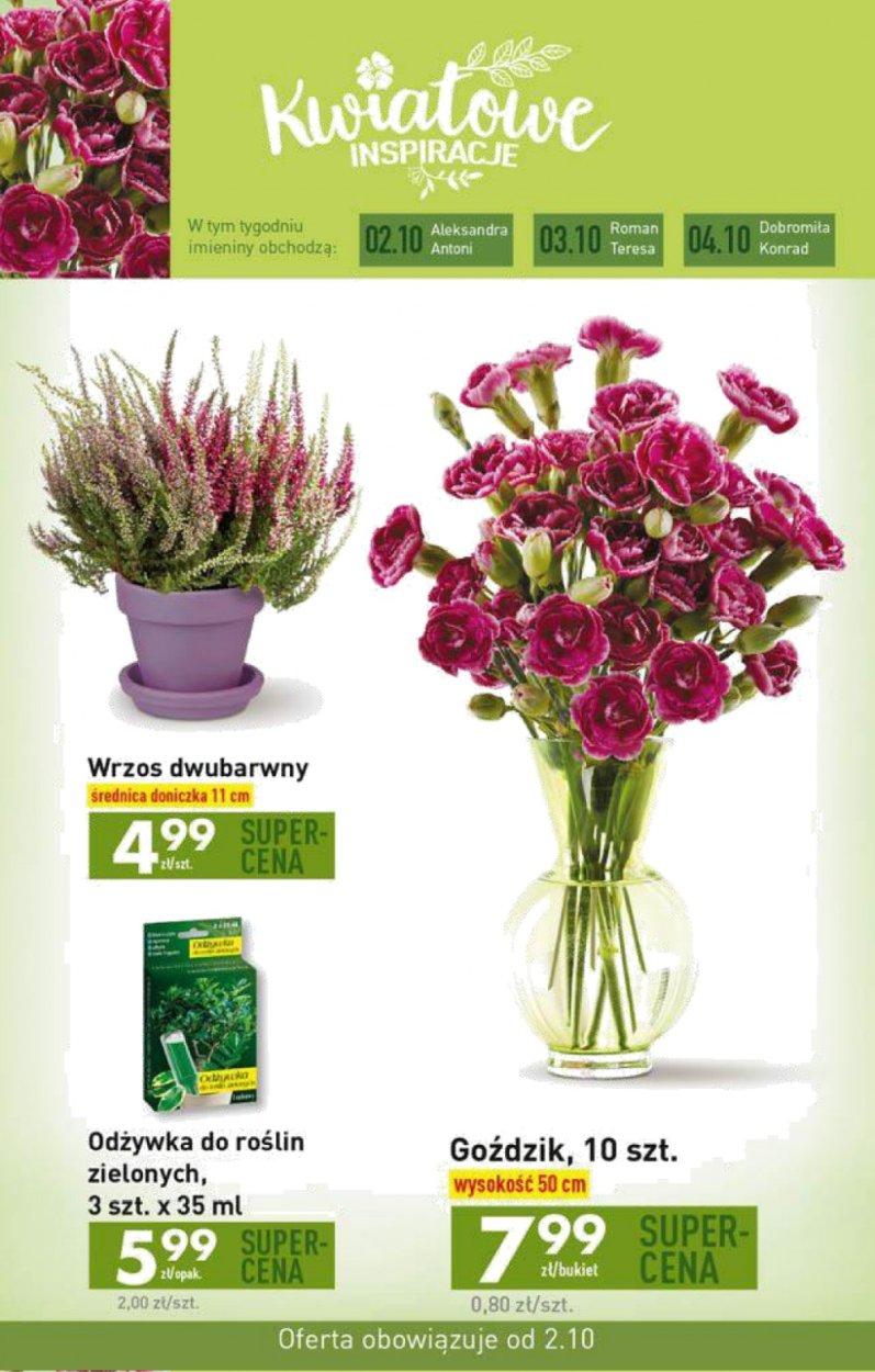 Gazetka promocyjna Biedronka str. 33