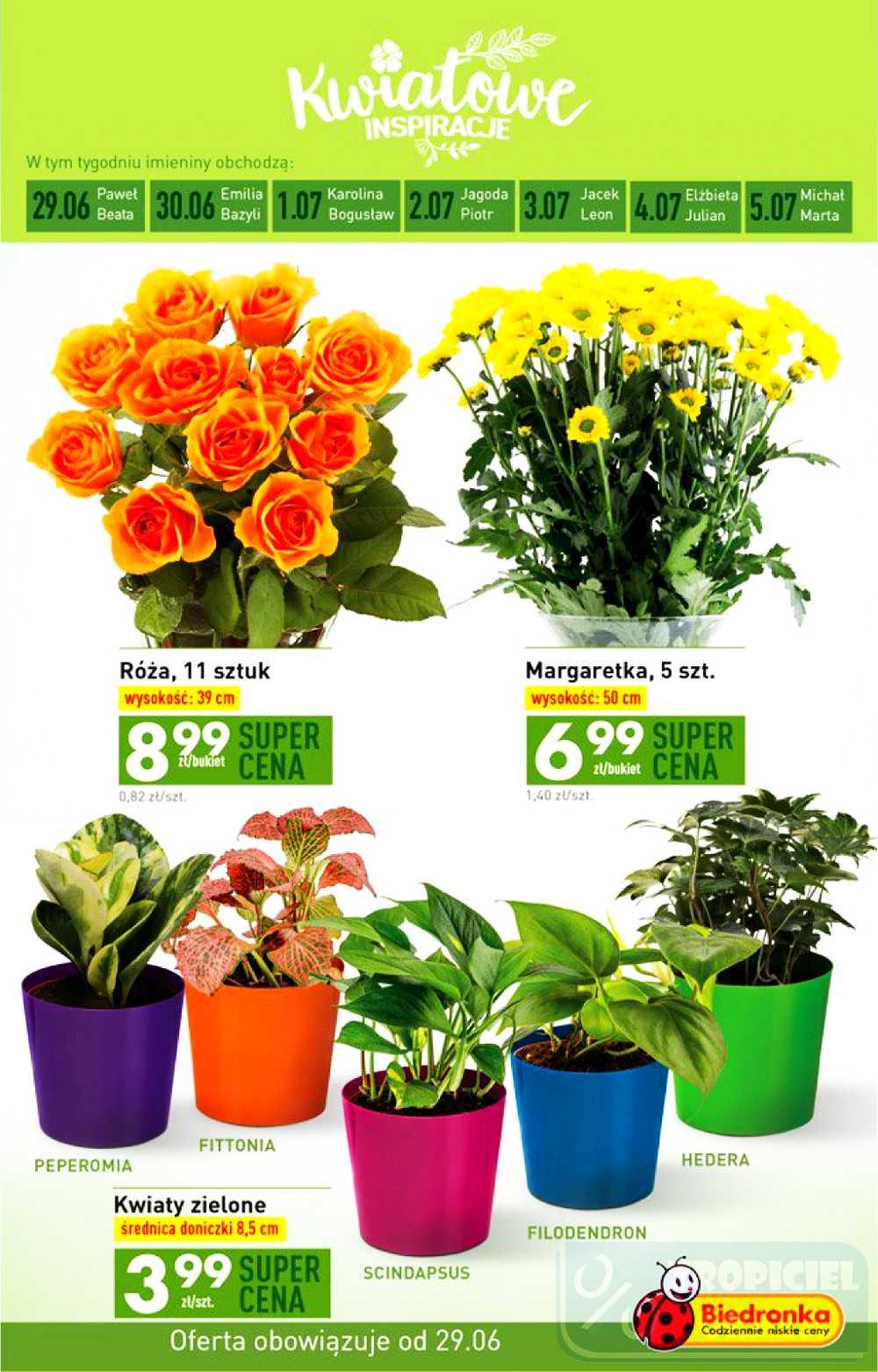 Gazetka promocyjna Biedronka str. 31