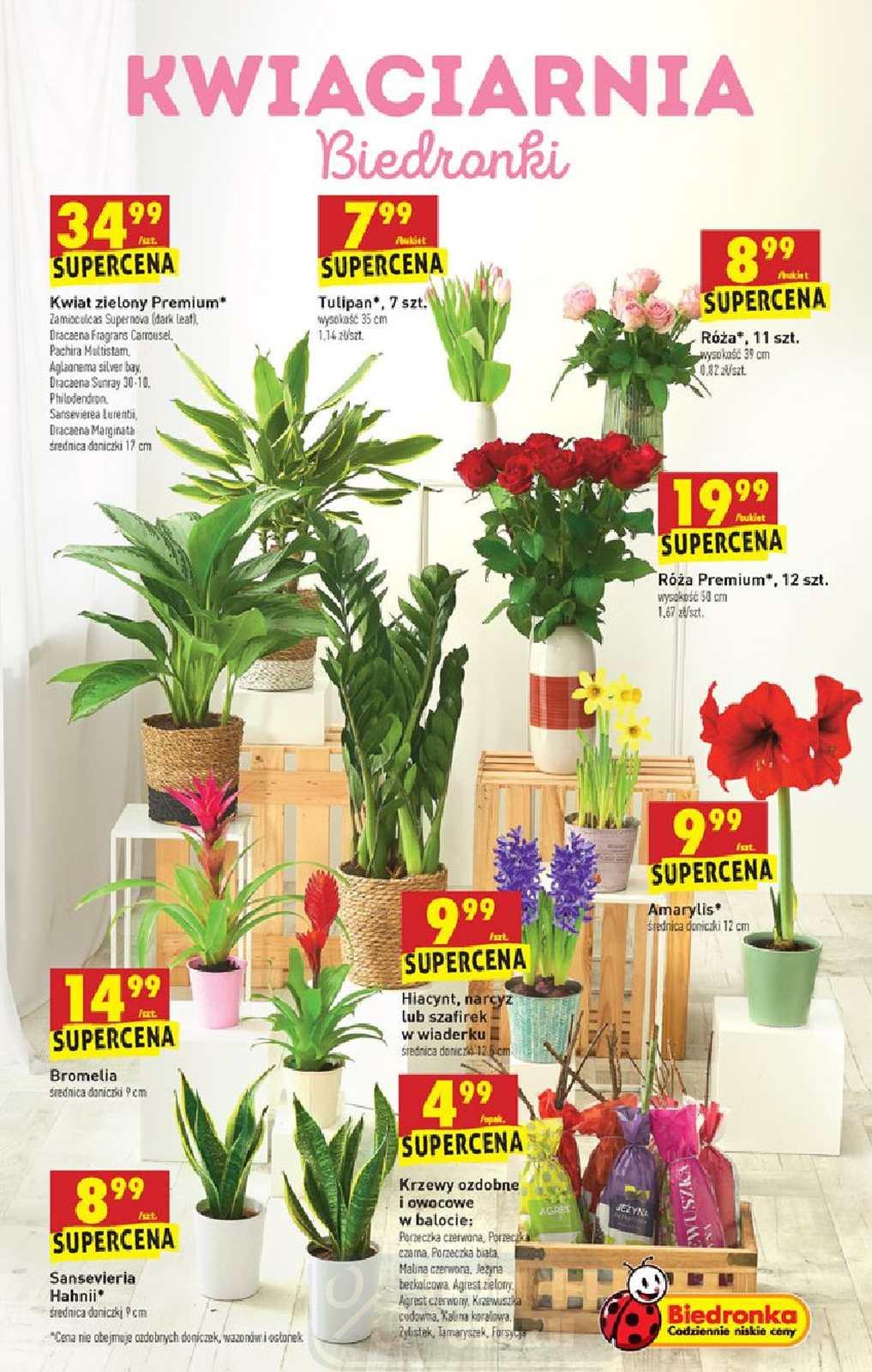 Gazetka promocyjna Biedronka str. 53