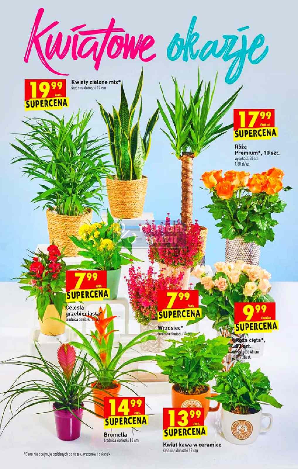 Gazetka promocyjna Biedronka str. 15