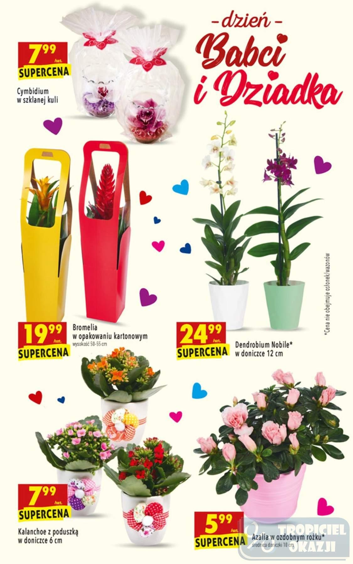 Gazetka promocyjna Biedronka str. 27