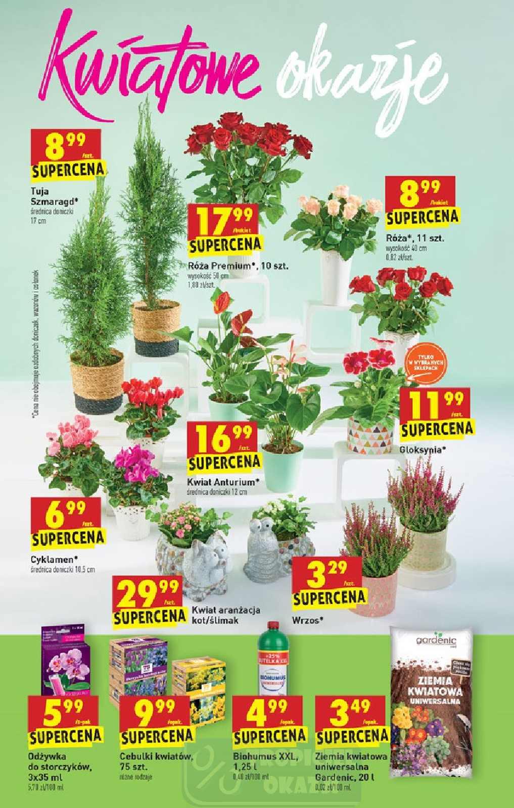 Gazetka promocyjna Biedronka str. 55