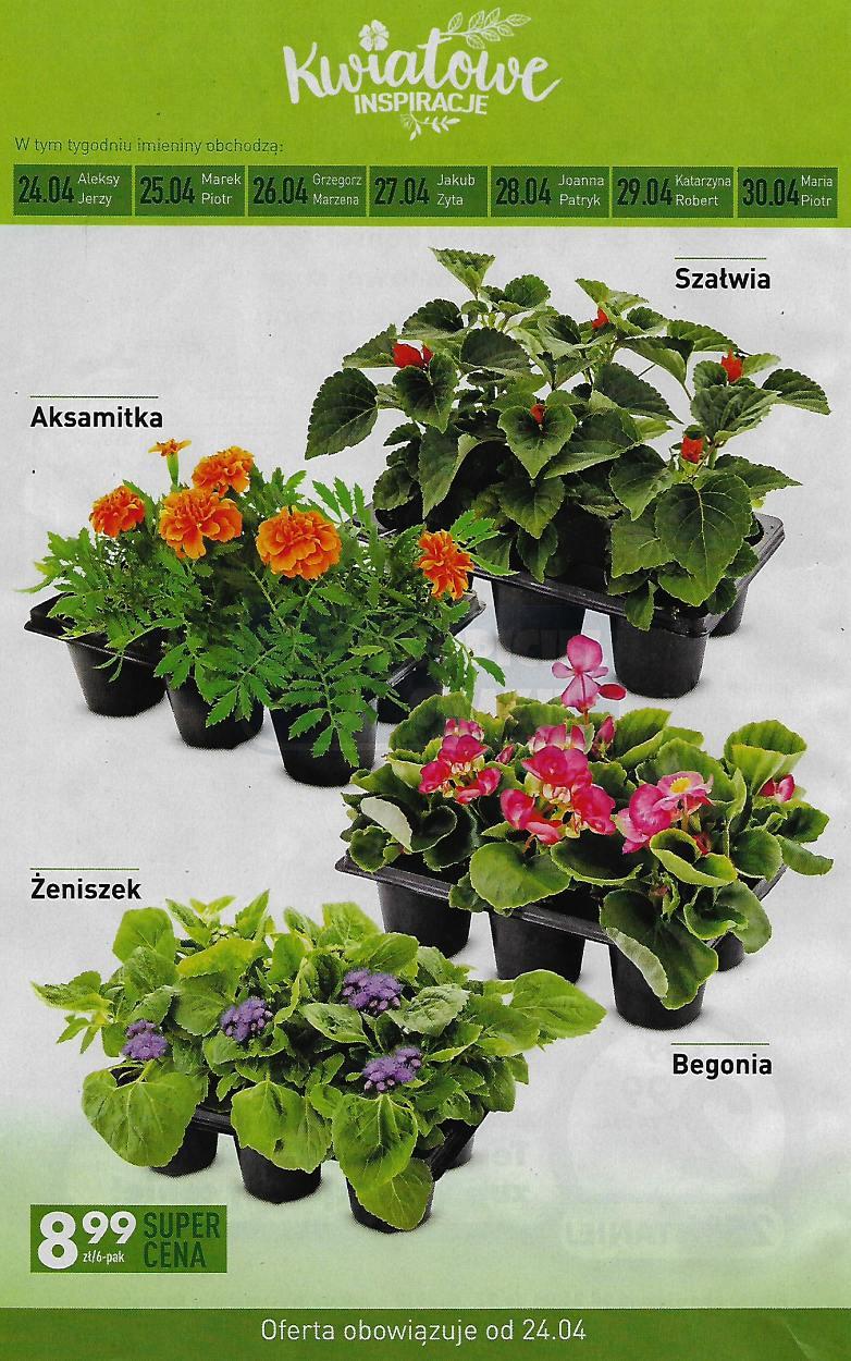 Gazetka promocyjna Biedronka str. 8