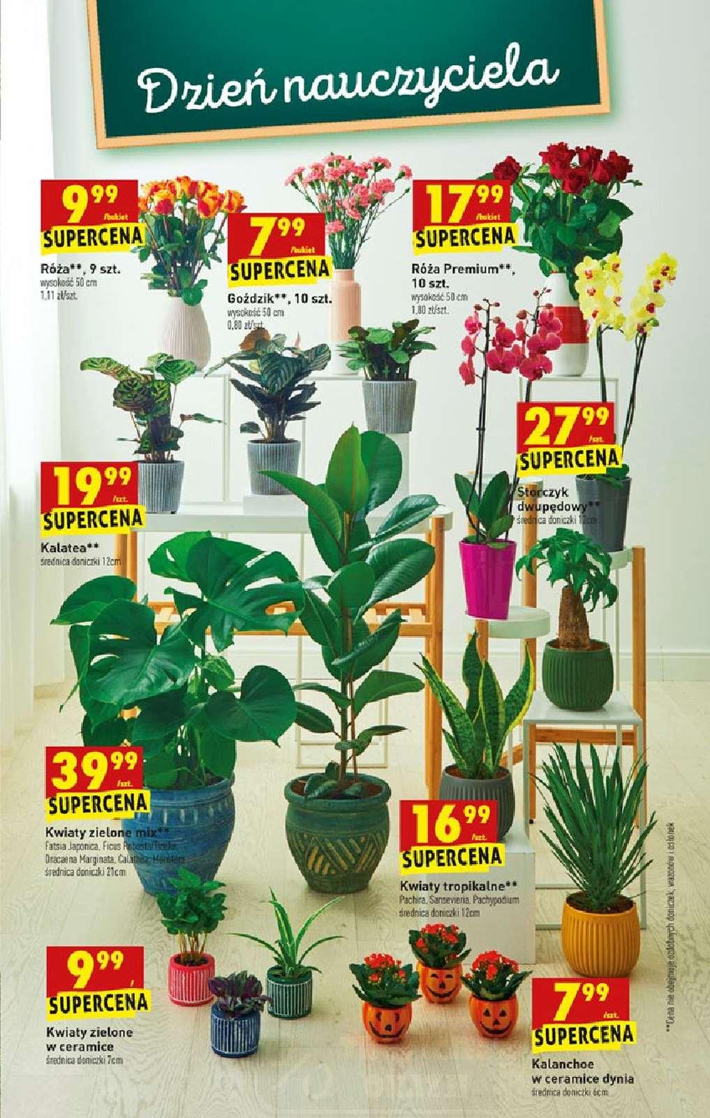 Gazetka promocyjna Biedronka str. 13