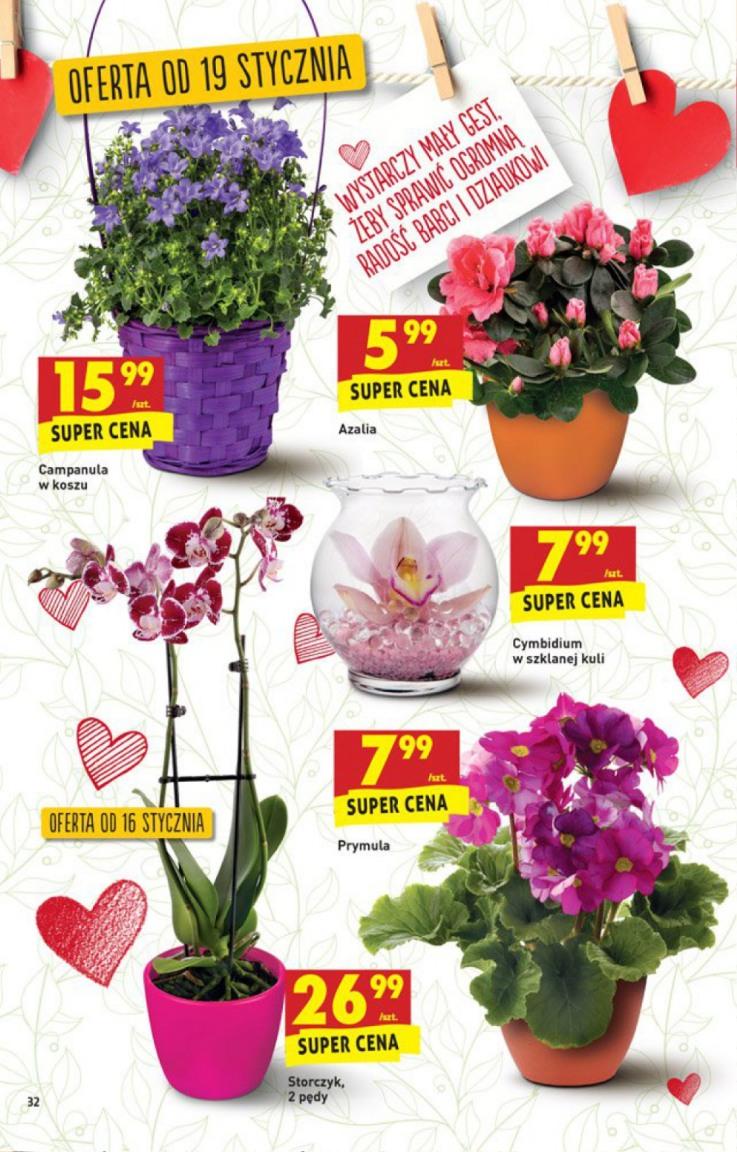 Gazetka promocyjna Biedronka str. 10