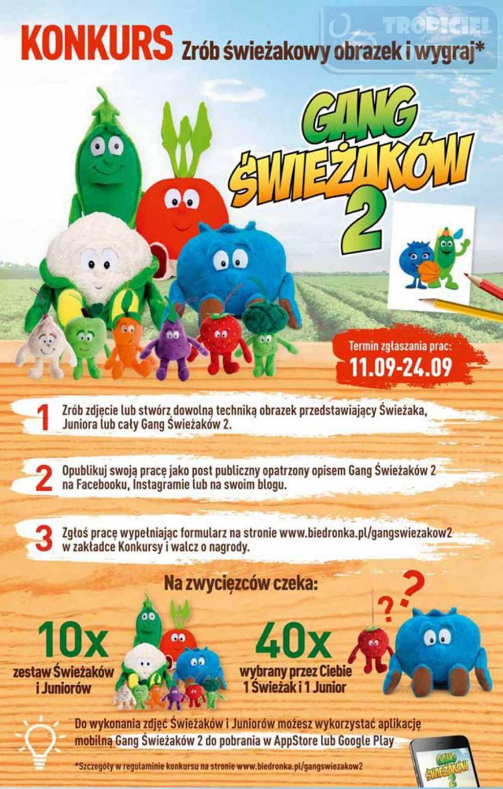 Gazetka promocyjna Biedronka str. 3