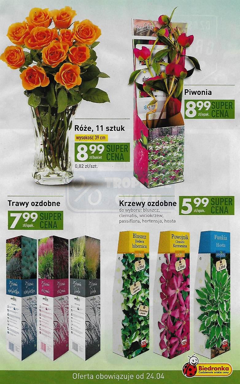 Gazetka promocyjna Biedronka str. 9