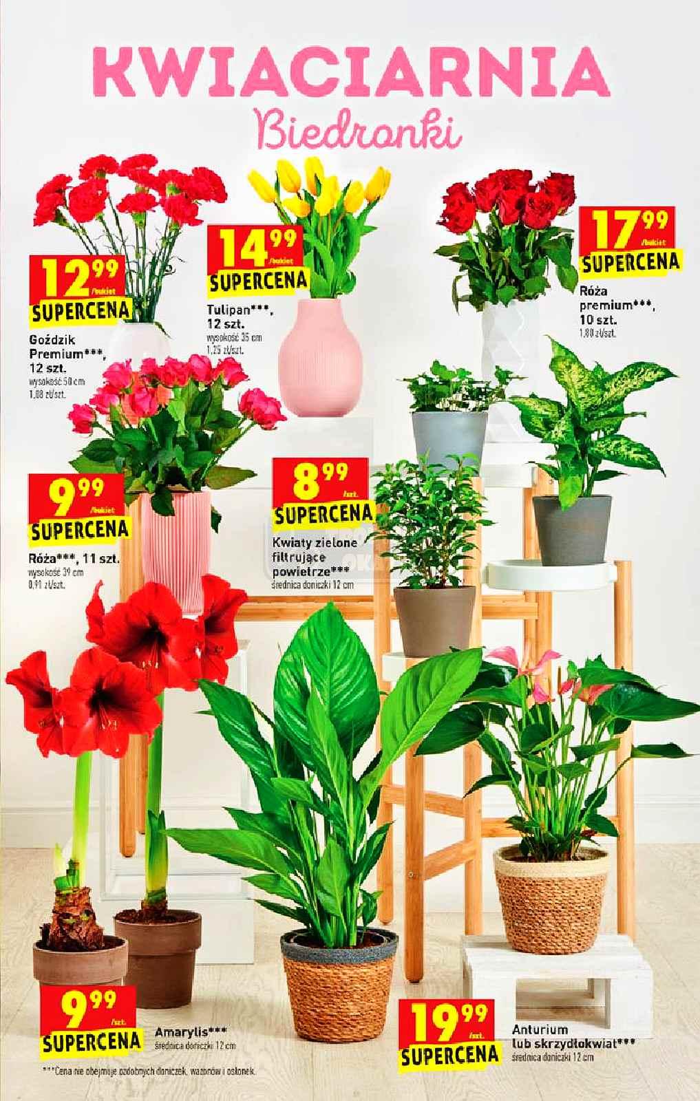 Gazetka promocyjna Biedronka str. 17