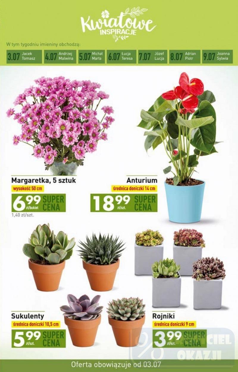 Gazetka promocyjna Biedronka str. 25