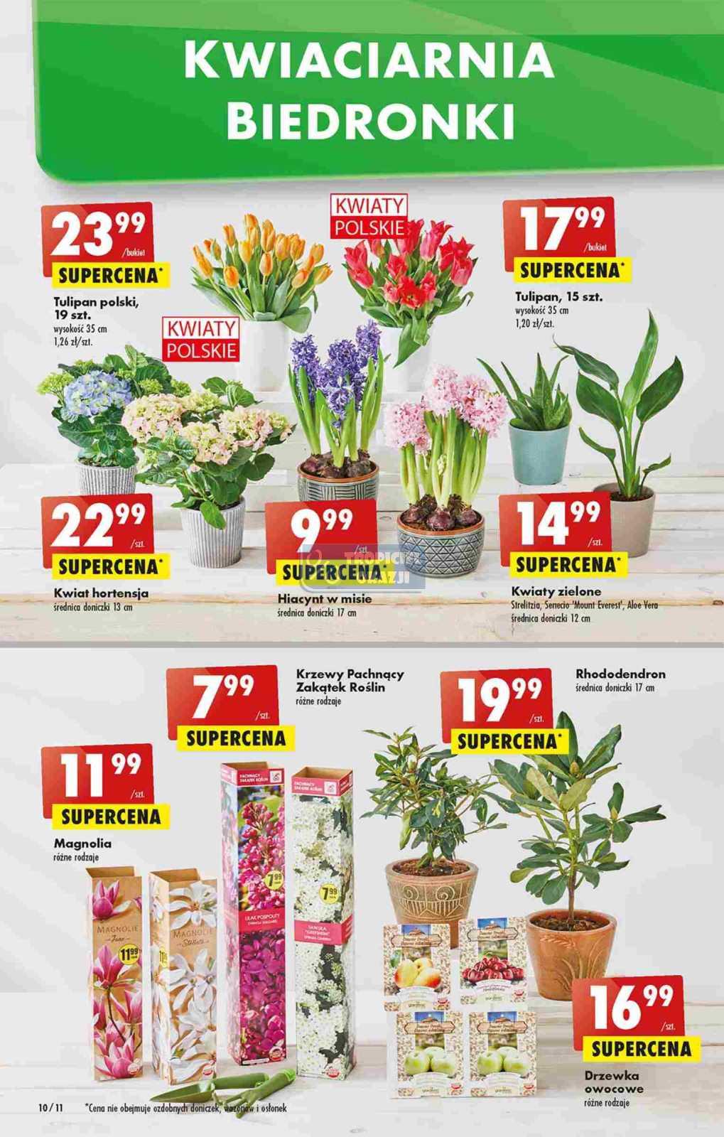 Gazetka promocyjna Biedronka str. 10