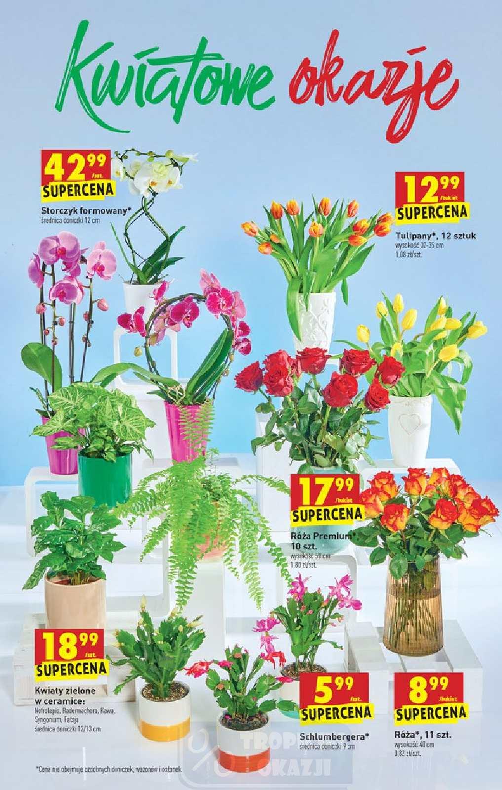 Gazetka promocyjna Biedronka str. 64