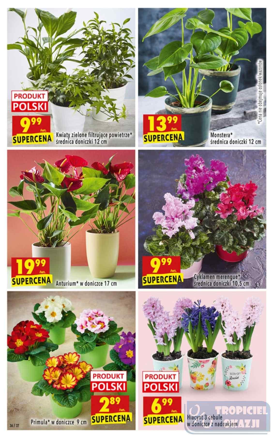 Gazetka promocyjna Biedronka str. 36