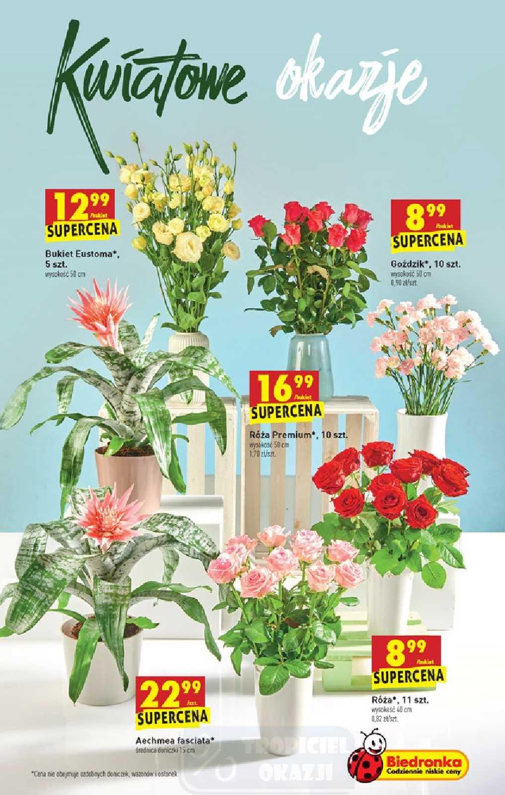 Gazetka promocyjna Biedronka str. 47