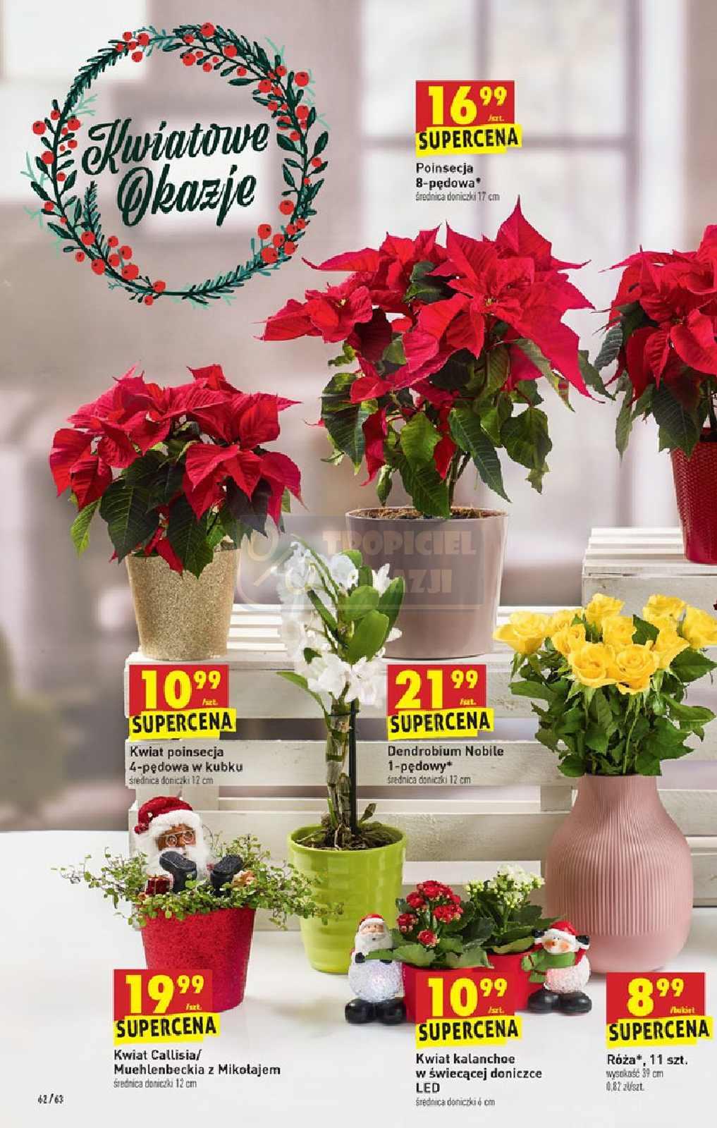 Gazetka promocyjna Biedronka str. 62