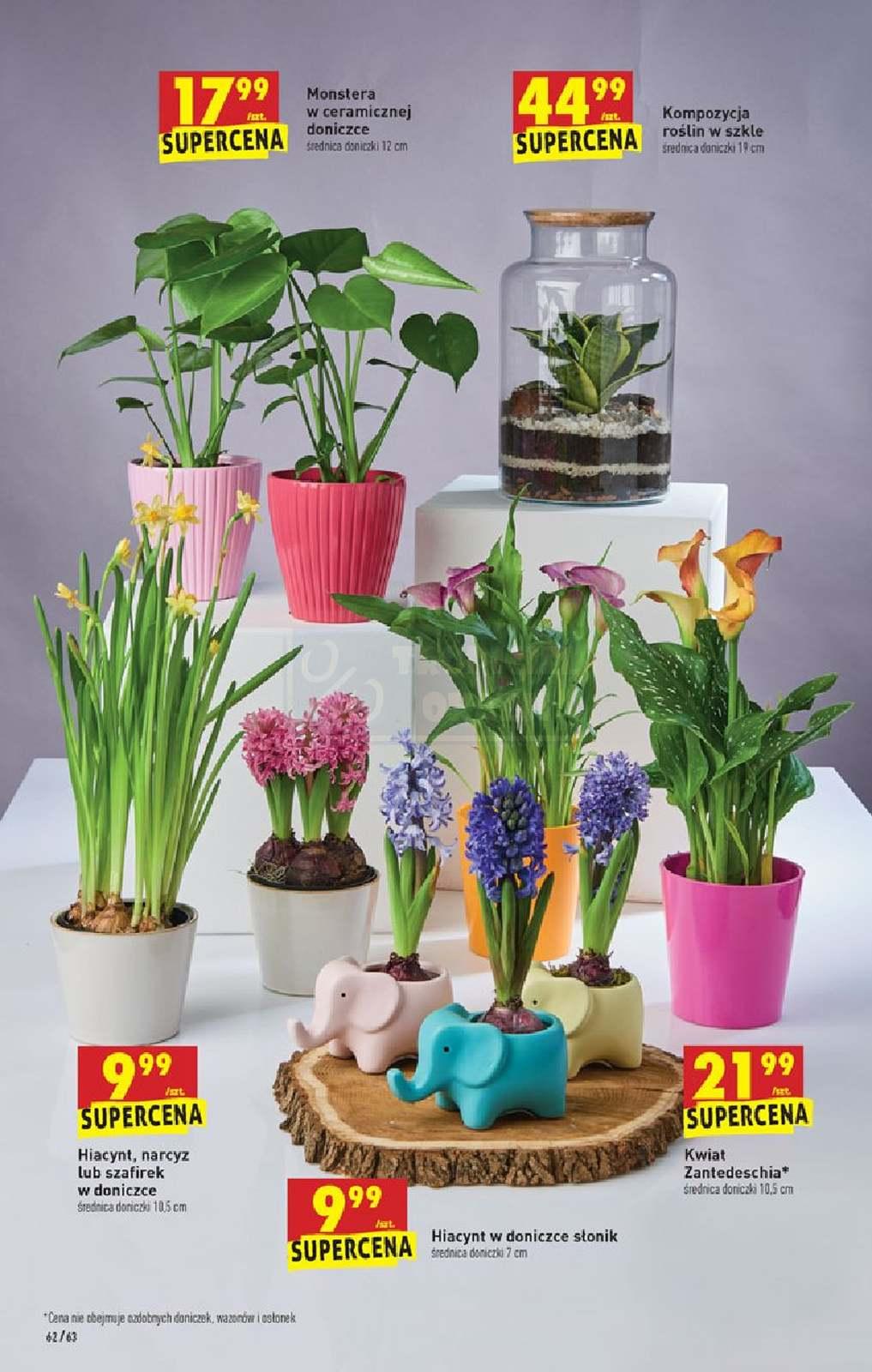 Gazetka promocyjna Biedronka str. 62