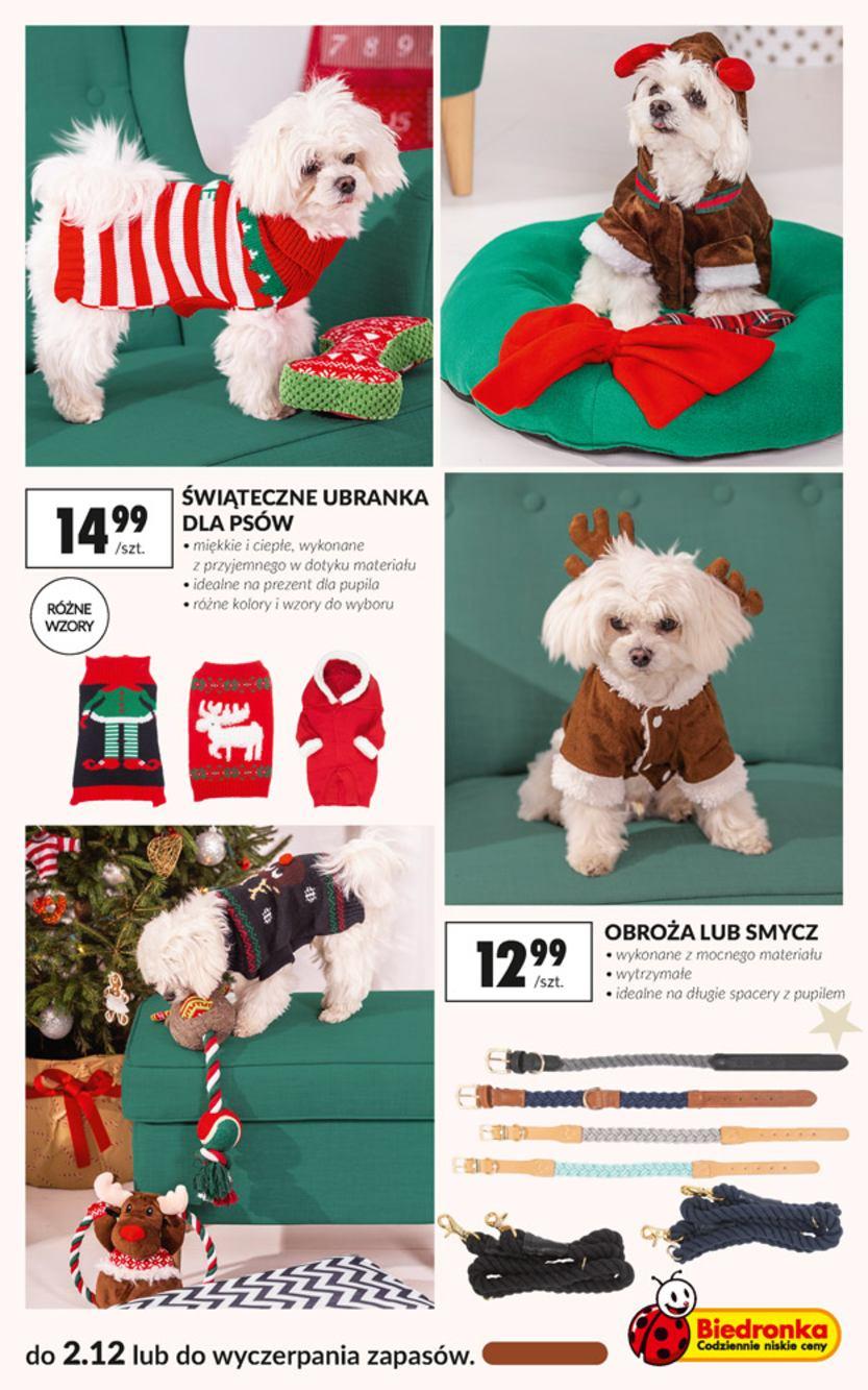 Gazetka promocyjna Biedronka str. 17