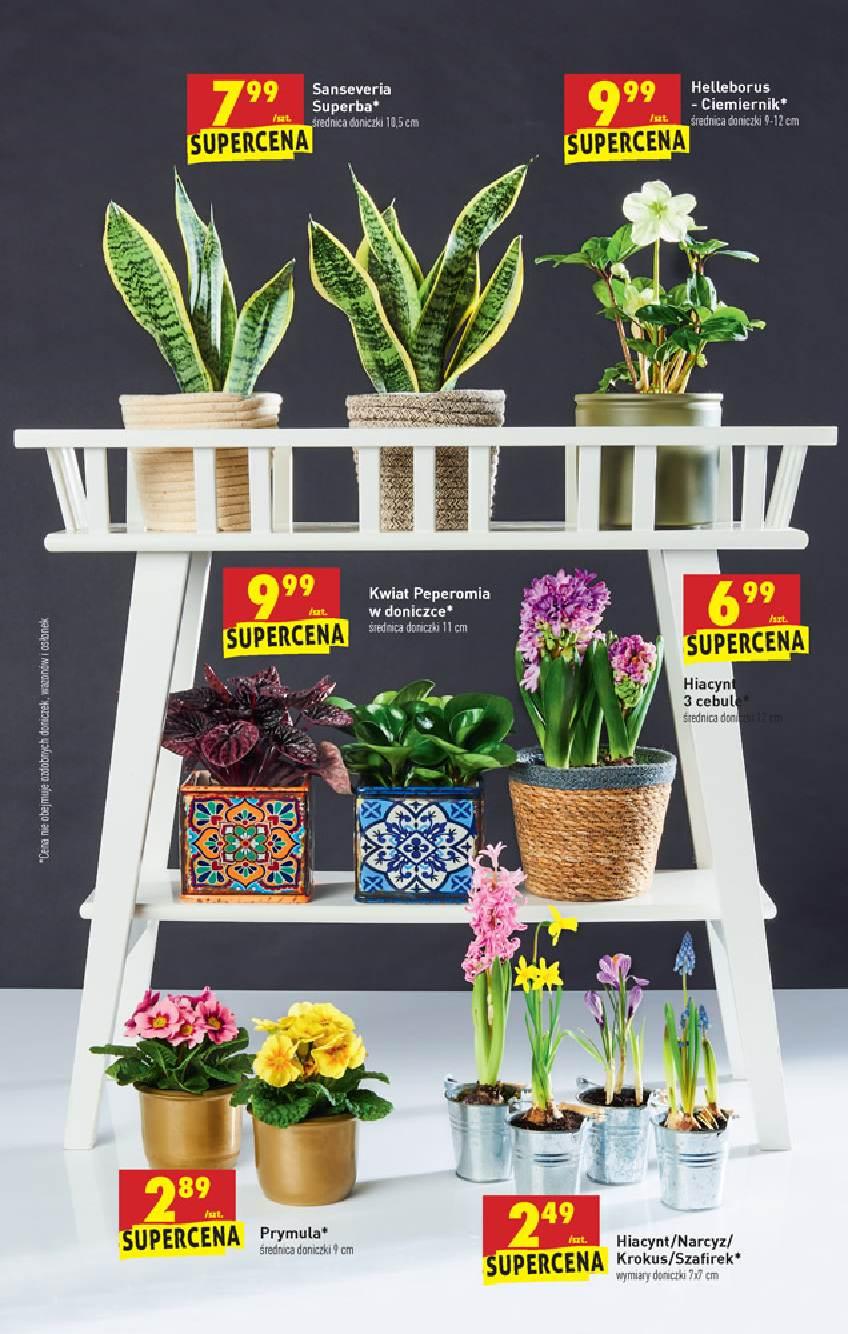 Gazetka promocyjna Biedronka str. 47