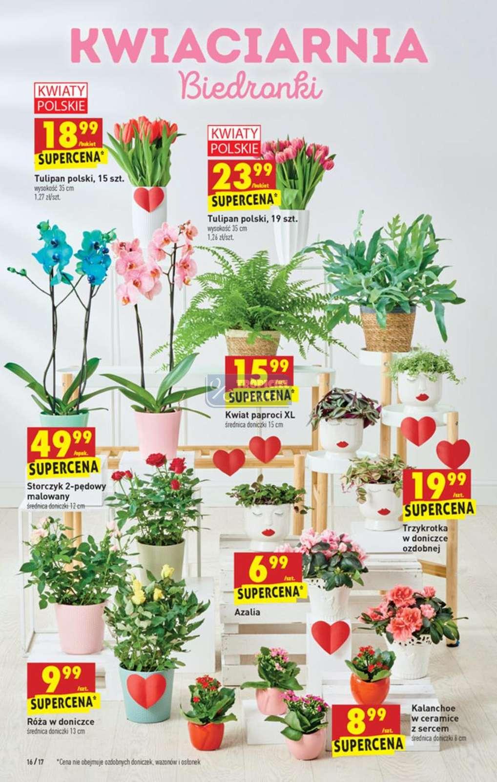 Gazetka promocyjna Biedronka str. 15