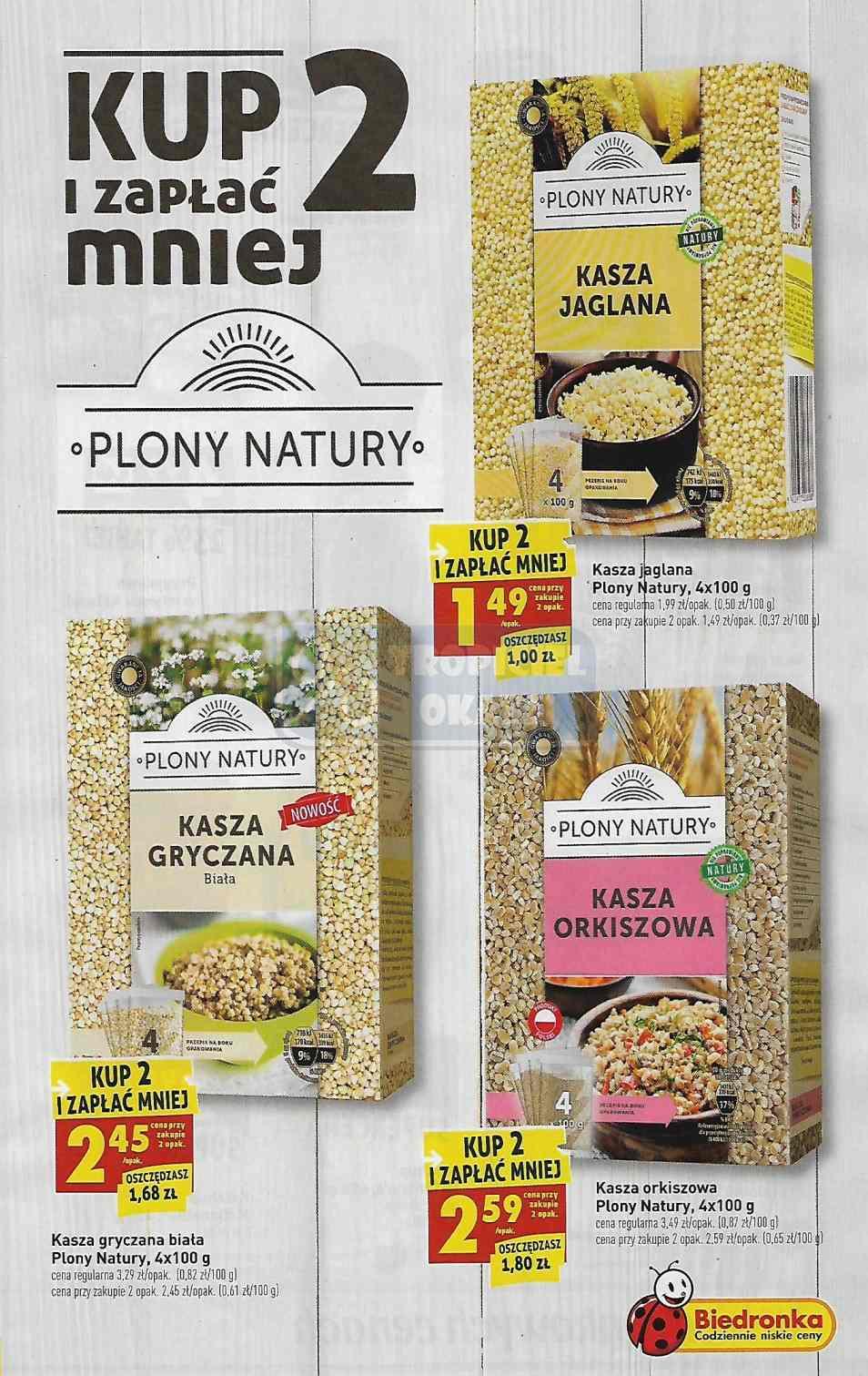 Gazetka promocyjna Biedronka str. 19