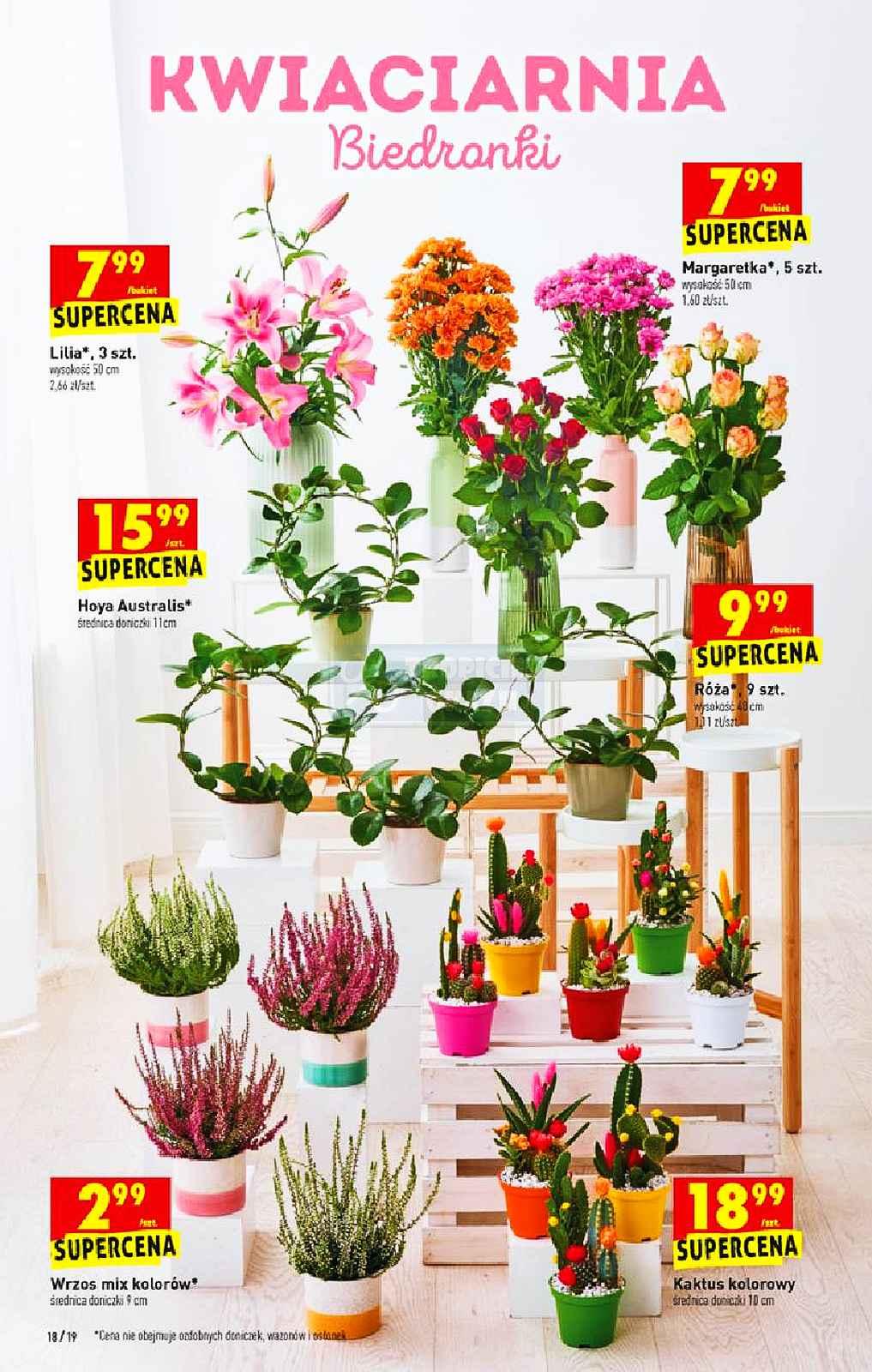 Gazetka promocyjna Biedronka str. 18