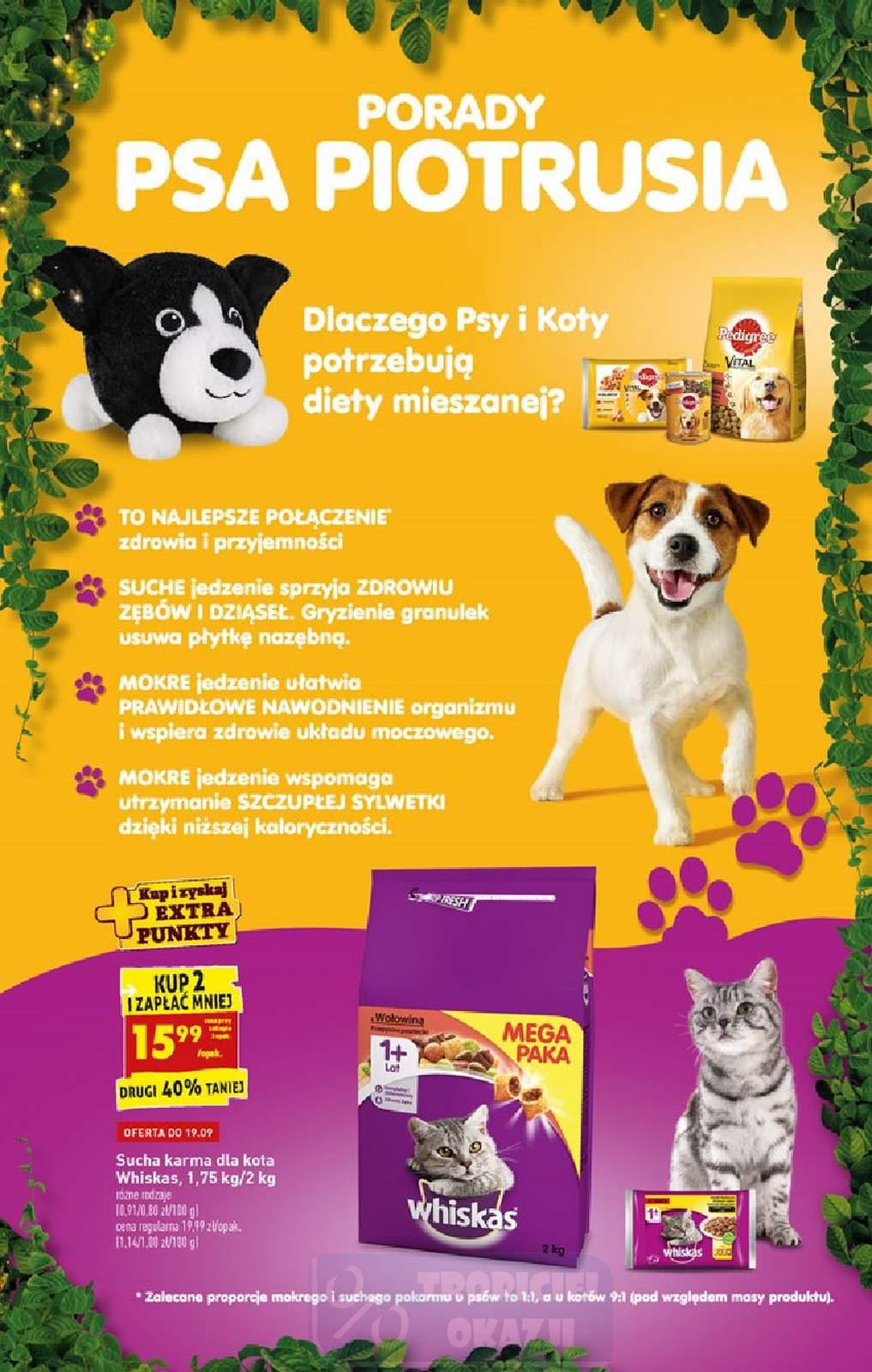 Gazetka promocyjna Biedronka str. 11