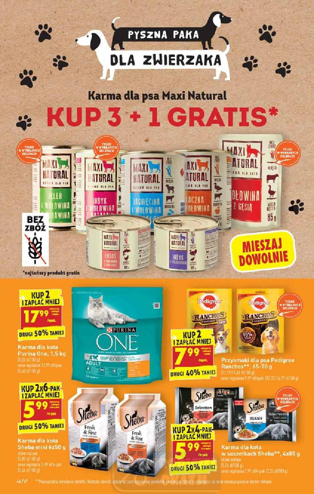 Gazetka promocyjna Biedronka str. 46