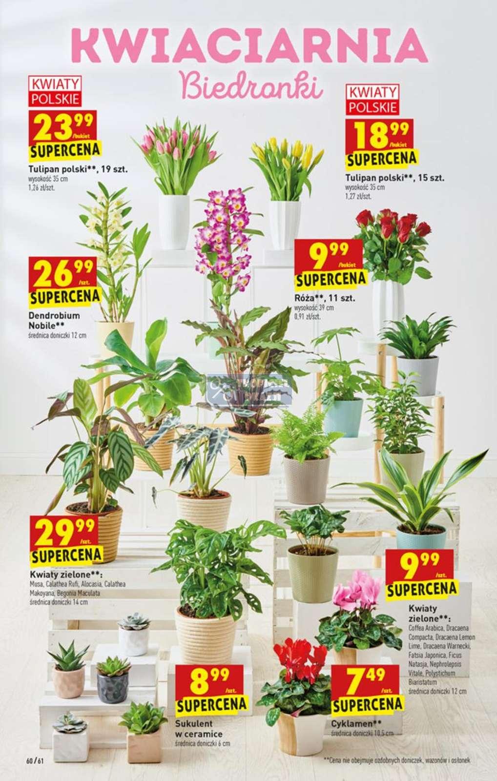 Gazetka promocyjna Biedronka str. 60