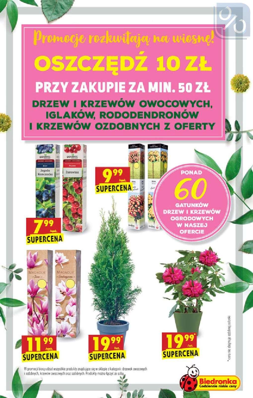 Gazetka promocyjna Biedronka str. 63