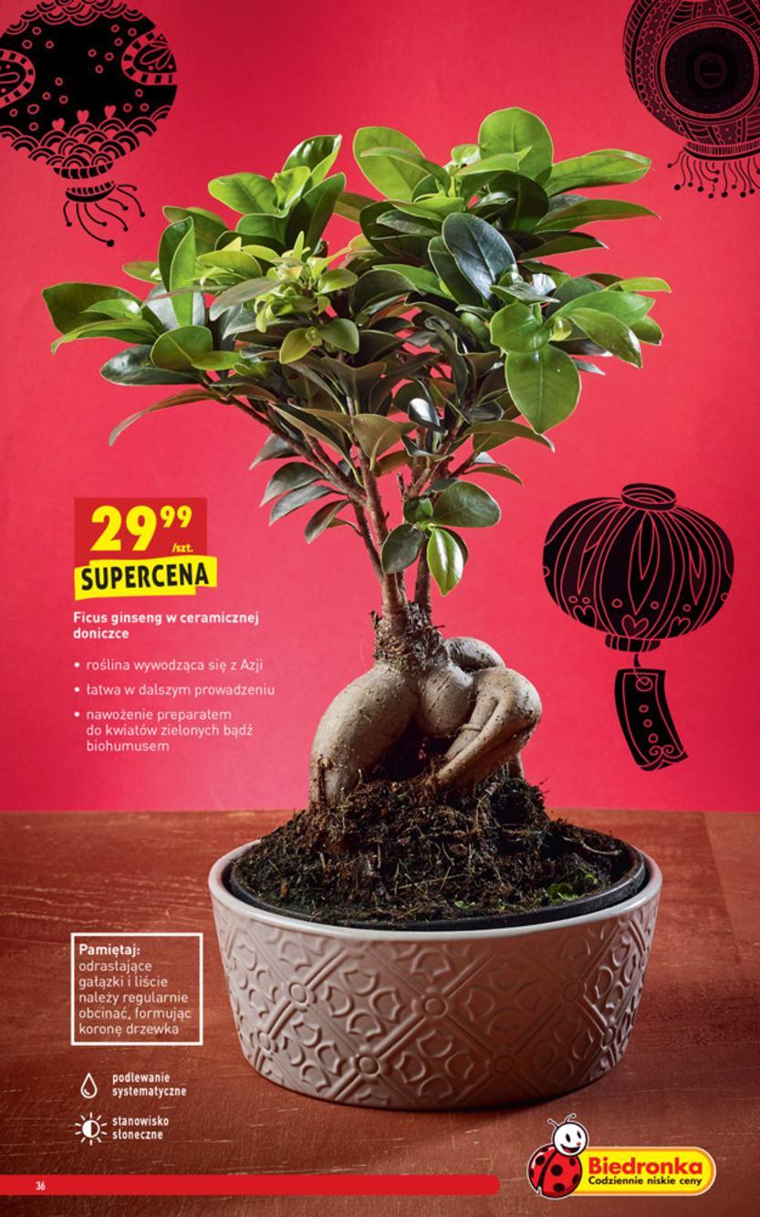 Gazetka promocyjna Biedronka str. 36