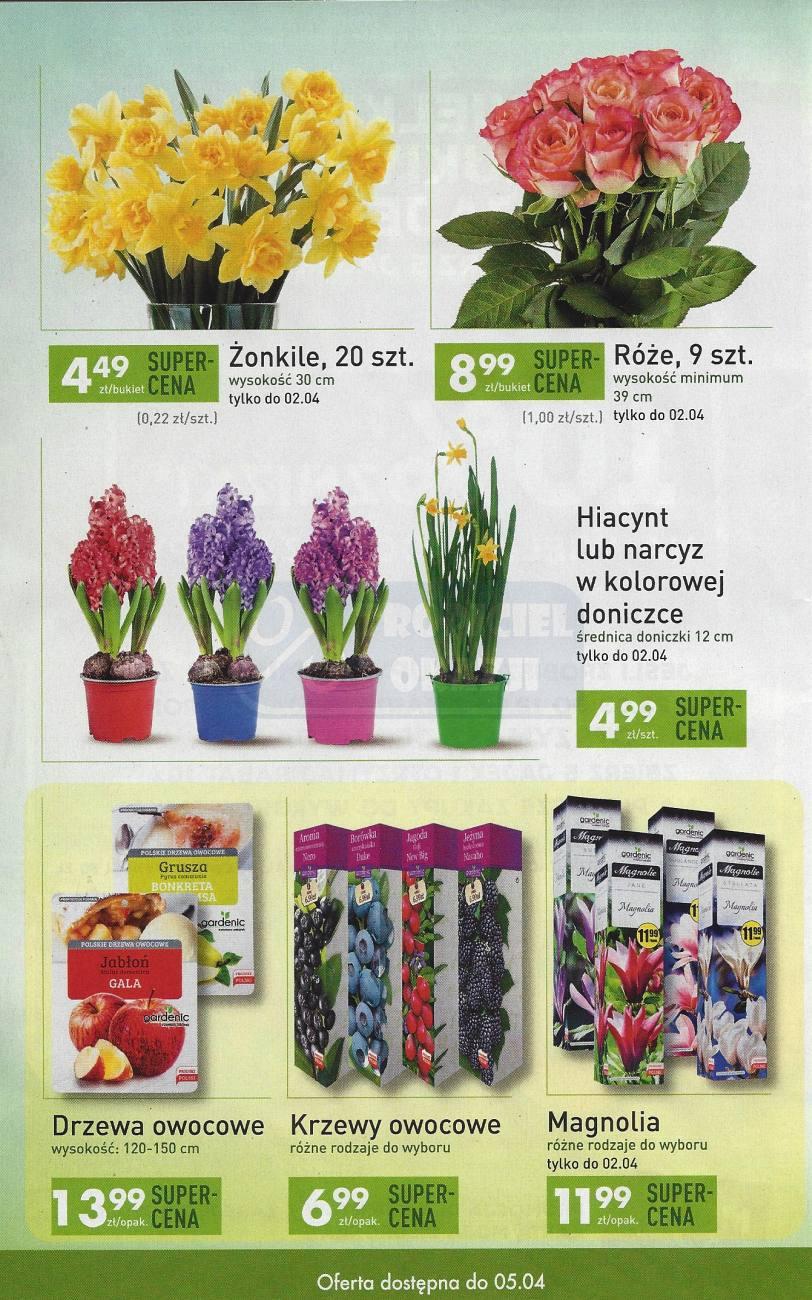 Gazetka promocyjna Biedronka str. 10