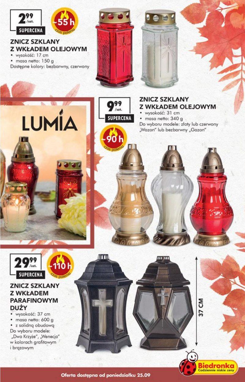 Gazetka promocyjna Biedronka str. 17