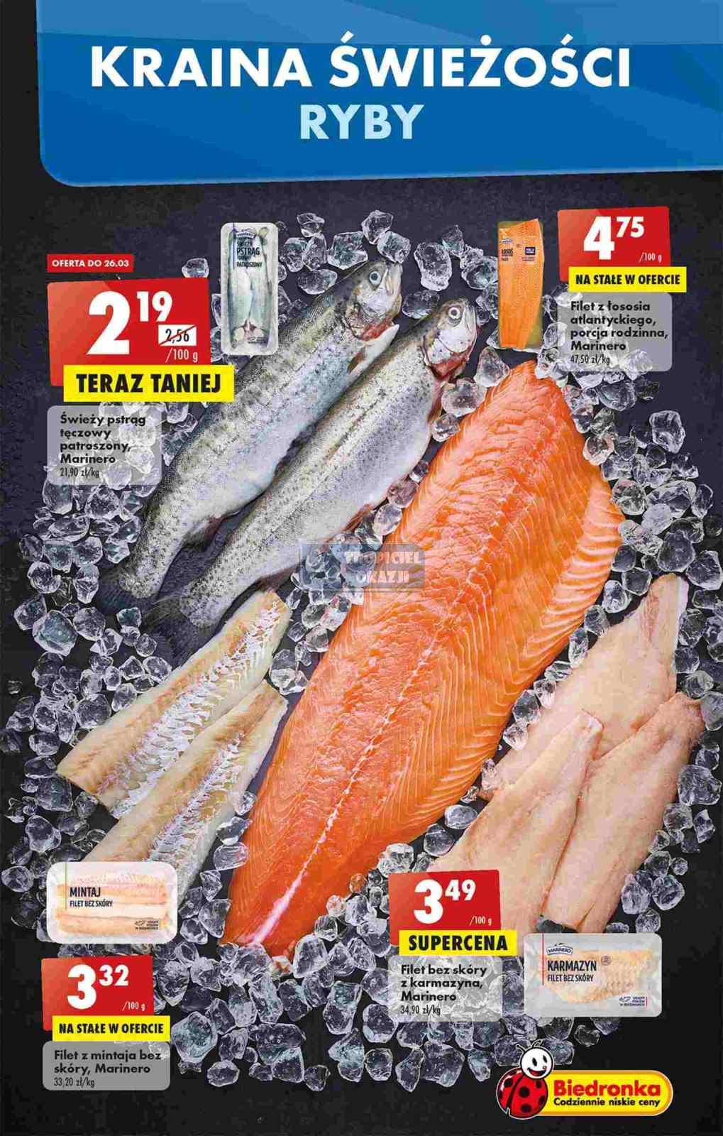 Gazetka promocyjna Biedronka str. 21