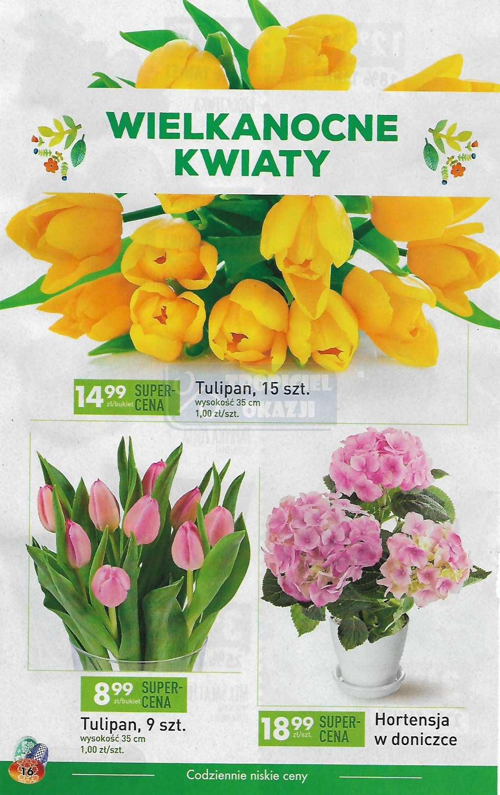 Gazetka promocyjna Biedronka str. 16