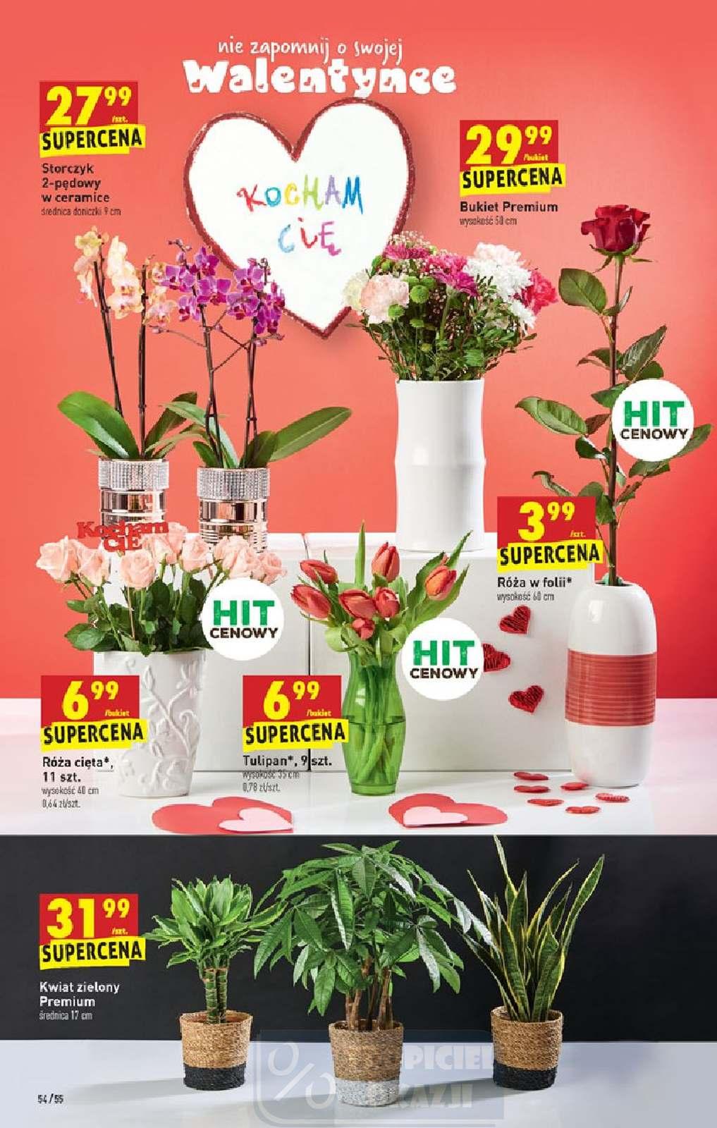 Gazetka promocyjna Biedronka str. 54