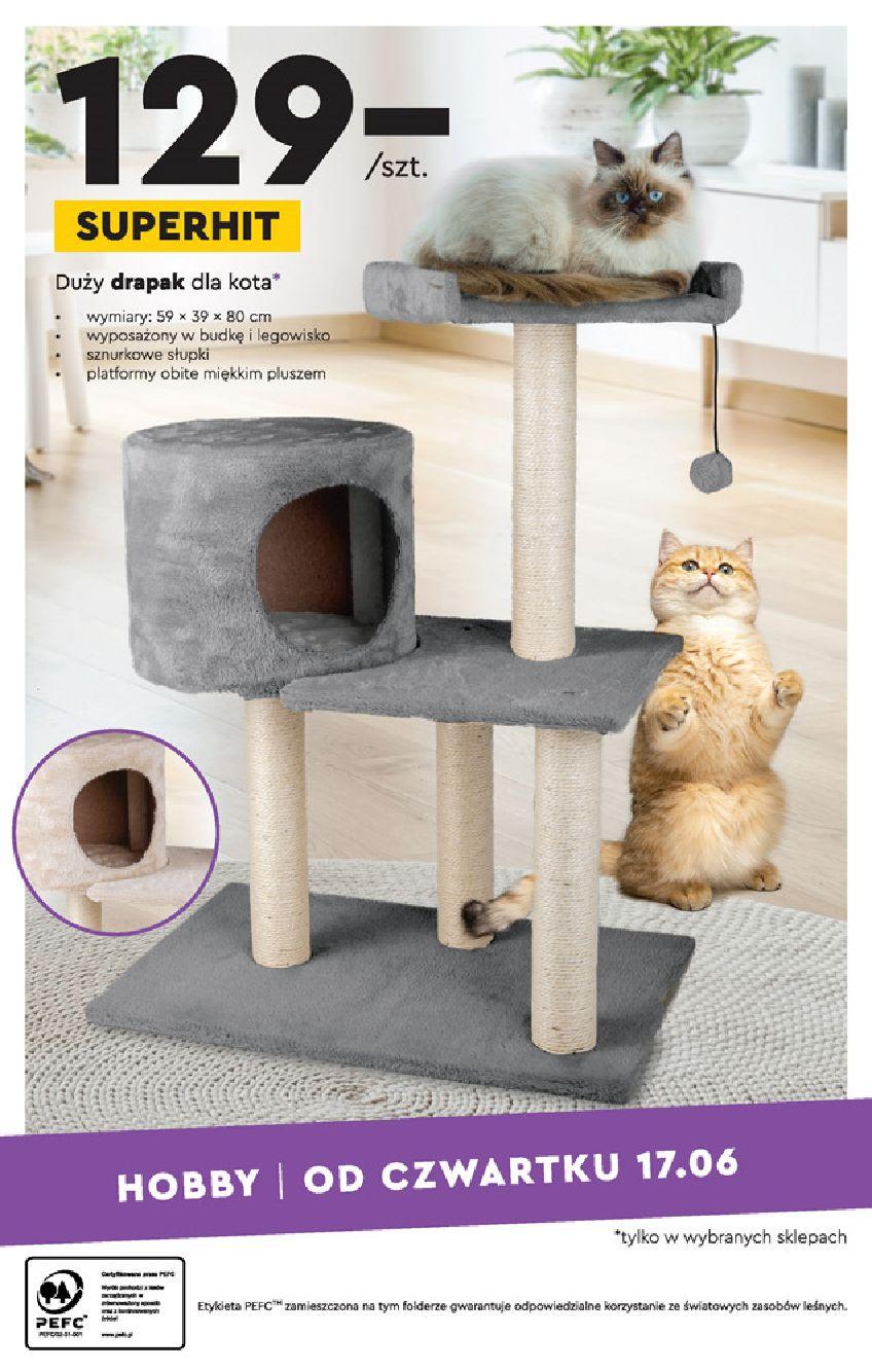 Gazetka promocyjna Biedronka str. 36